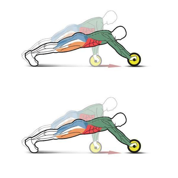 Abdominal Training Wheels