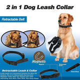 2 in 1 Dog Leash Collar