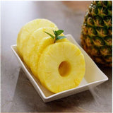 Juicy Bites Pineapple Slicer