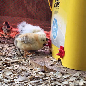【Buy more save more】Horizontal Side Mount Chicken Waterer