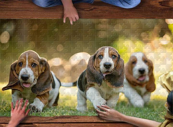 Pet Series Puzzle-Dachshund 1000 Pieces