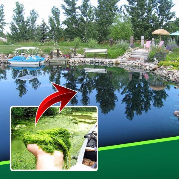 [PROMO 30% OFF] Pond Cleaner Algae Agent