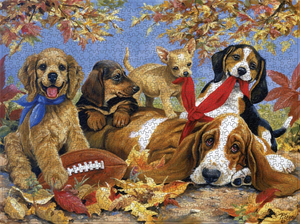 2021 Pet Series Puzzle-A lovely dog 1000 Pieces