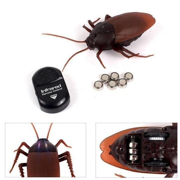 infrared remote control cockroach