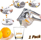 Stainless Steel Fruit Juicer