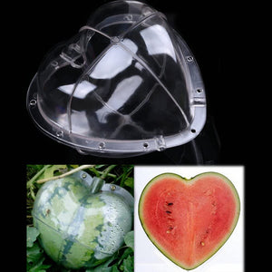 Magic Heart Fruits Mold