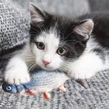 😻Floppy Fishy-Electric fish toy🐟