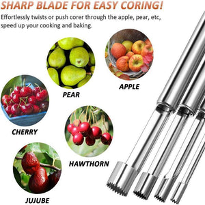 4-piece Stainless Steel Core Remover(1 SET include 4 PCS)