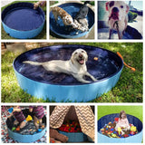 Portable Paw Pool