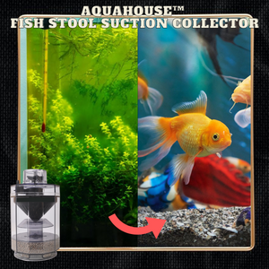 AquaHouse™ Fish Stool Suction Collector