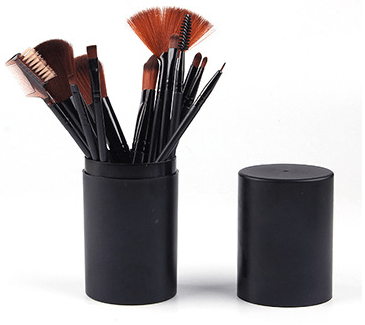 BLAIZECO™ Makeup Brush 12 Set