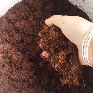 New Coconut Fiber Coir Pellet Nutrient Soil Lightweight Plant