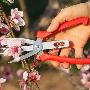 Double-Port Agriculture Thinning Scissors