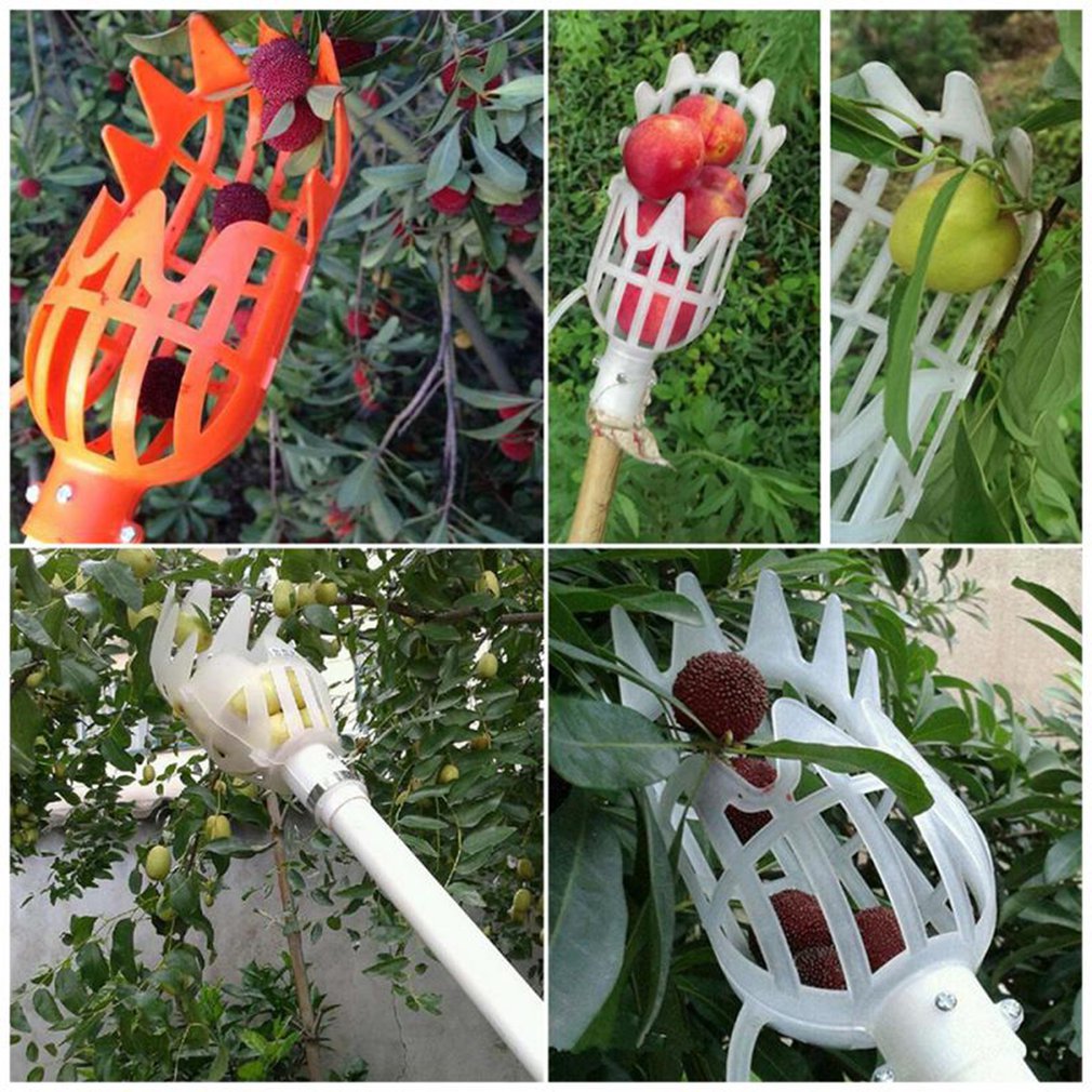 SkyHarvest™ High-Altitude Fruit Picker