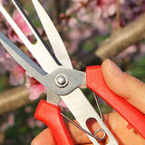 Double-Port Agriculture Thinning Scissors