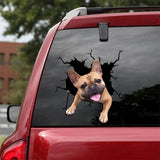 Funny Dog Head In The Crack Vinyl Car Stickers