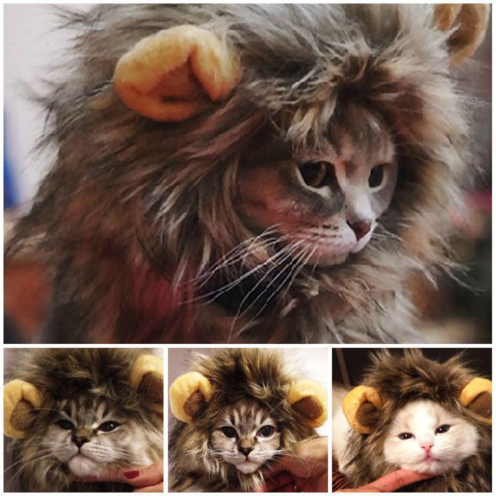 Lion Wig Cats Pets