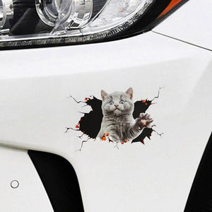 【3D Cat Dog Sticker】New 1PC Car 3D Stereo Cat Big Dog Scratch Masking Sticker Cute Cat Car Sticker 3D Animal Vinyl Decal Reflective Car Stickers