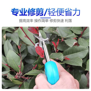 Pointy Fruit Picking Scissors – Left-Handed Pruning Shears