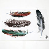 【CA133】Auto Feather Repair Stickers