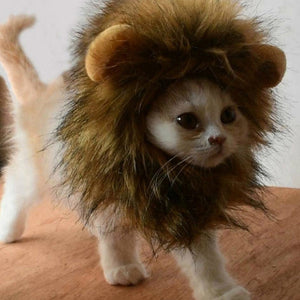 Lion Wig Cats Pets