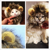 Lion Wig Cats Pets