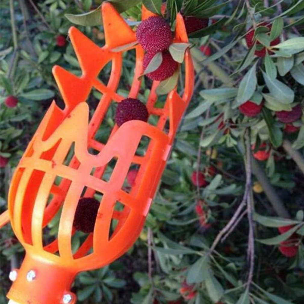 SkyHarvest™ High-Altitude Fruit Picker