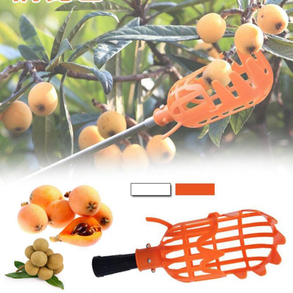 SkyHarvest™ High-Altitude Fruit Picker