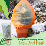 Drawstring Plant Frost Cover
