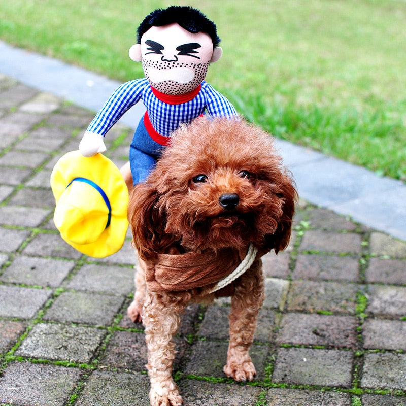 Novelty Dog Costumes