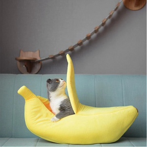 Creative Banana House Warm Pet