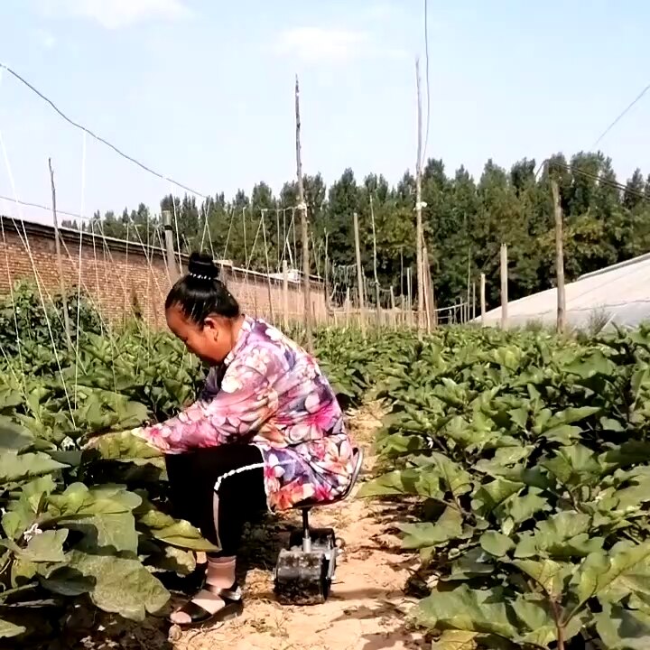 360° Rotating Agricultural Chair and Garden Workbench