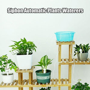 Siphon Automatic Plants Waterers（4pcs）