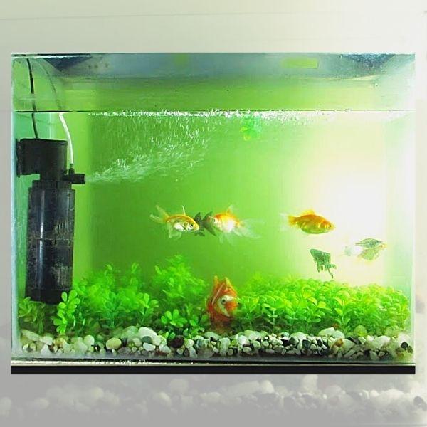 [PROMO 30% OFF] EZClean 4-in-1 Fish Tank Solution