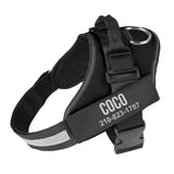 Personalized NO-PULL Harness *LIFETIME WARRANTY*