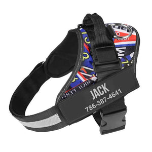 Personalized NO-PULL Harness *LIFETIME WARRANTY*