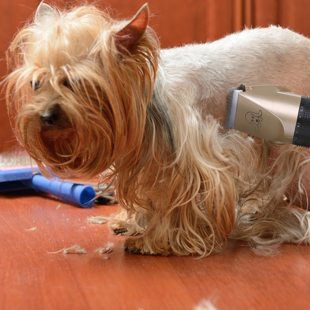 🔥50% OFF-Last 2 Days Promotion🔥 Noise-Free Design Pet Hair Clipper