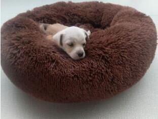 Happy Paws™ Anti-Anxiety Calming Dog Bed