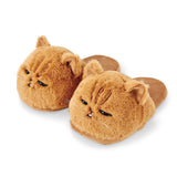 Kitty Face Slippers