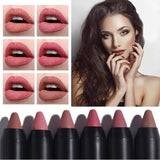 Long-Lasting Waterproof Matte Lipstick (12 Pcs/set)