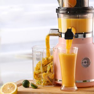 High Nutrient Fruit Vegetable Mixer