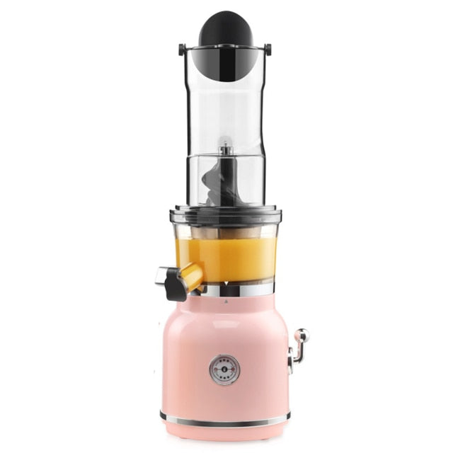 High Nutrient Fruit Vegetable Mixer