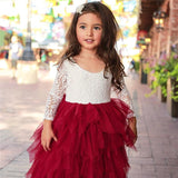 Girls Lacy Tutu Dress