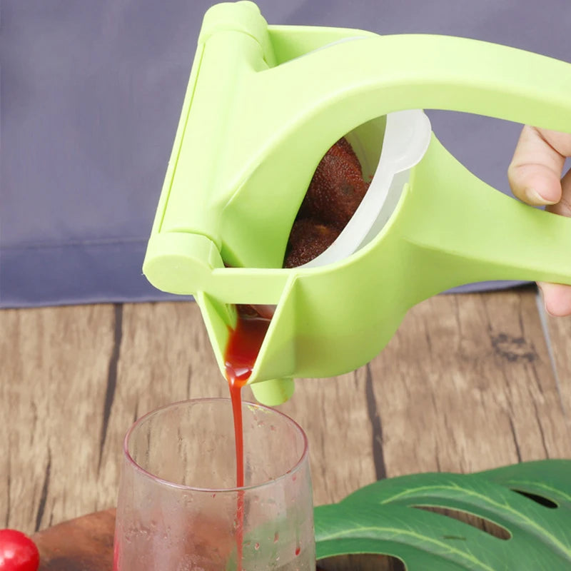 Manual Fruit Juicer