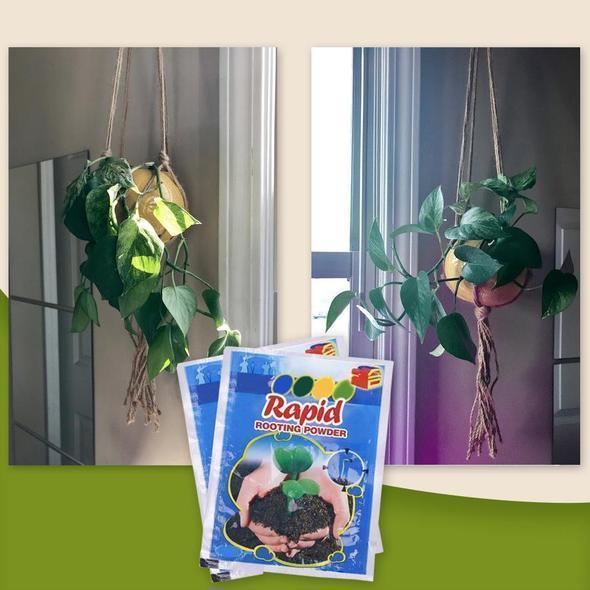 Plant Rapid Growing Powder