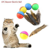 Electric Beaver Ball