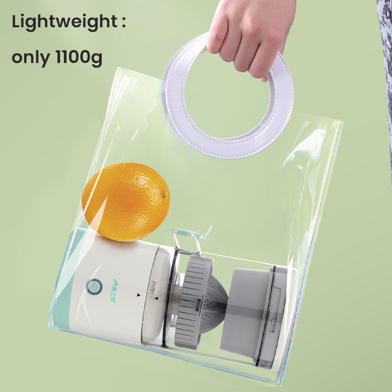 Portable Fruit Juicer